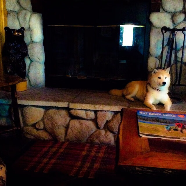 体育专项硕士招生人数逐年上升,体育专项硕士招生人数逐年上升的原因